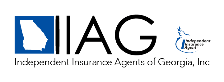 Partner IIAG
